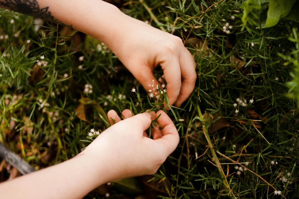 Hello World Featured Image